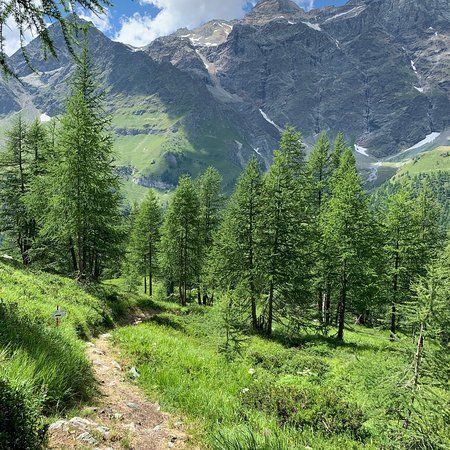 Bike Park del Cervino